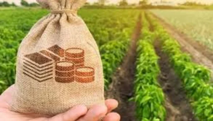 В Україні запущено нові програми підтримки бізнесу та агросектору 
