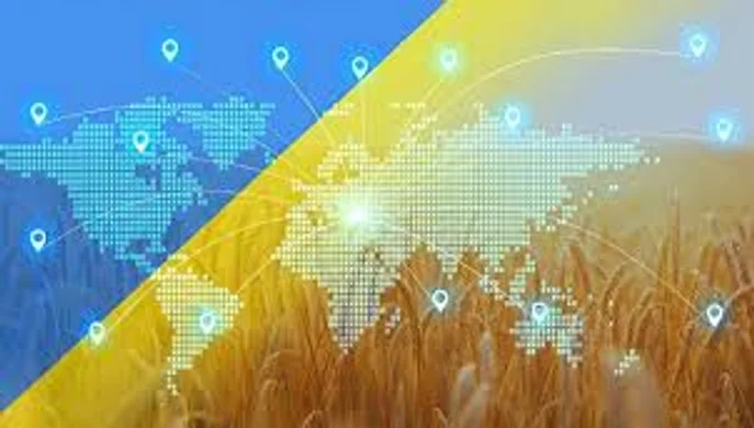 Куди йде українське зерно: нові лідери серед покупців
