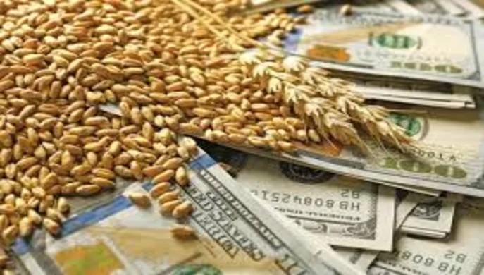 В Україні зросли експортні ціни на пшеницю