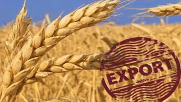 Україна у січні експортувала 5 млн т агропродукції