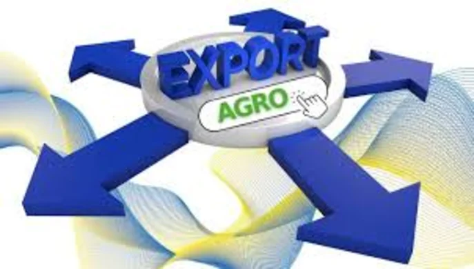 Україна  відкрила 19 нових ринків для експорту агропродукції 