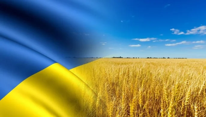 Експортні ціни на ячмінь в Україні зросли