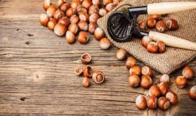 Hazelnuts dominate Ukraine’s nut orchards