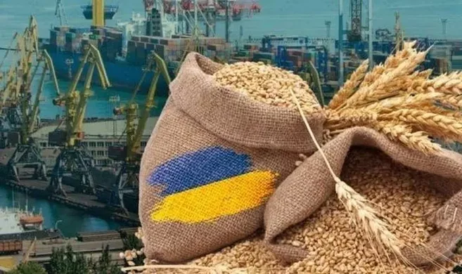 Україна експортувала 21,5 млн т зерна та зернобобових культур з початку маркетингового року (2024/2025)