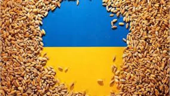 Ціни на пшеницю активно зростають