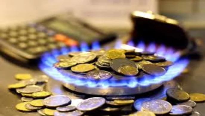 Ціни на газ: огляд ринку січень 2025р.