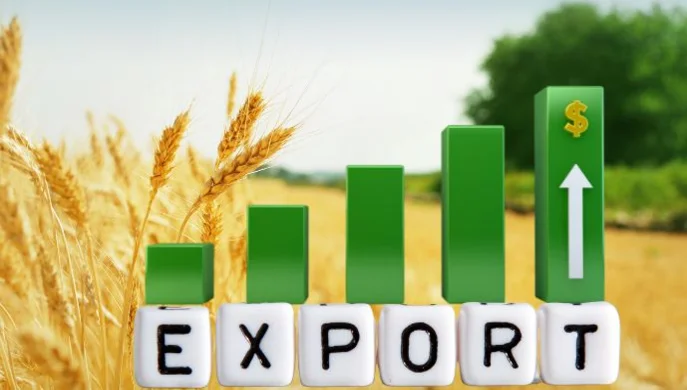 Продукція рослинництва займає чверть українського експорту