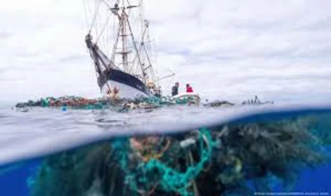 Ukraine signs the High Seas Agreement: what it means for the protection of marine ecosystems