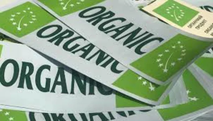 Україна входить до топ-5 постачальників органічної продукції в ЄС
