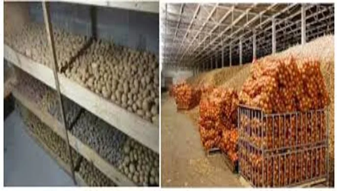 FAO supports the initiative of the Ministry of Agrarian Policy to build small vegetable storages