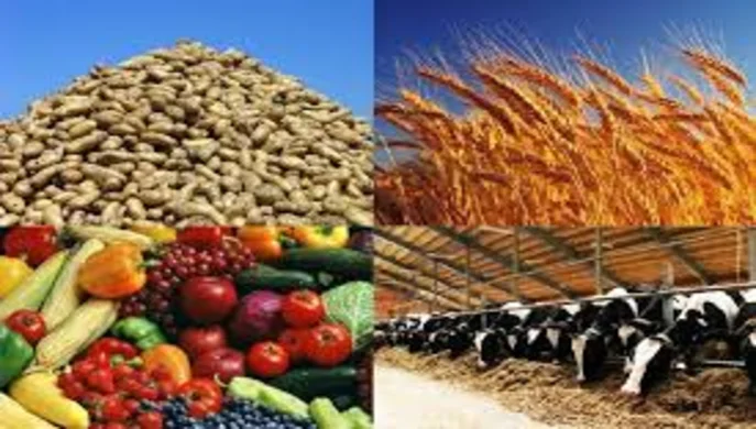 З початку року Україна експортувала 2,5 млн тонн агропродукції