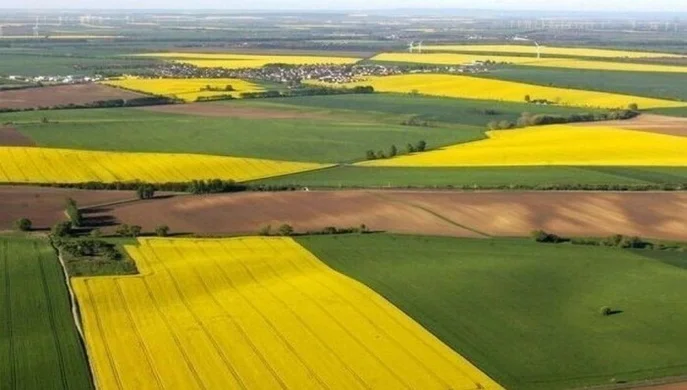 Земля продовжує дорожчати: де в Україні найвищі ціни